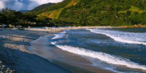 om a chegada da temporada de verão, festas de fim de ano e férias escolares, as cidades litorâneas recebem mais turistas. No Estado de São Paulo, a Cetesb é a companhia responsável por avaliar a balneabilidade das águas nas praias paulistas.