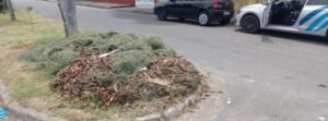 Secretaria de Urbanismo, demonstrou agilidade ao flagrar um descarte irregular de podas em via pública. O responsável foi imediatamente abordado pelo fiscal e multado em R$ 2.033,40 (460 VRM’s).