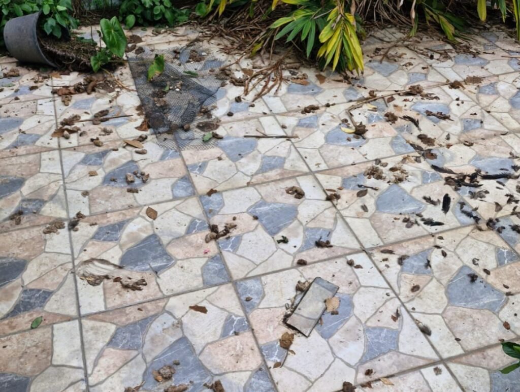 HOMEM É MULTADO EM 45 MIL REAIS EM CARAGUATATUBA POR MAUS-TRATOS A ANIMAIS