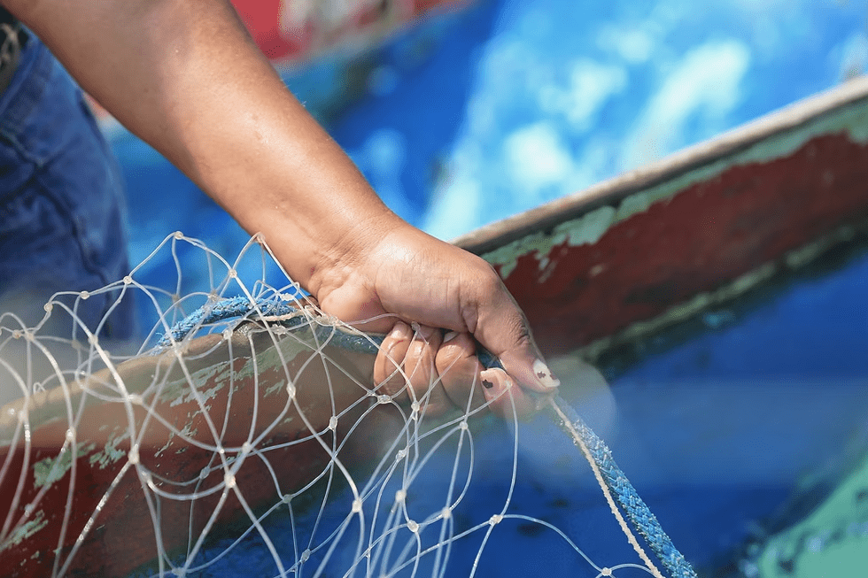 Pescadores artesanais de Ubatuba conquistam direito de uso sustentável da Ilha dos Pescadores, fortalecendo a cultura caiçara e a preservação ambiental.