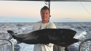 Projeto A.MAR valoriza pesca artesanal em Ilhabela e leva saberes caiçaras a restaurantes estrelados