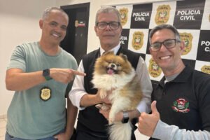 Cachorro furtado em SP é encontrado em SC e devolvido à família