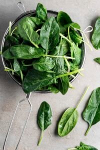 Conheça vegetal poderoso que auxilia na memória, foco e concentração