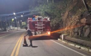 Ventos fortes resultam em queda de árvores em São Sebastião
