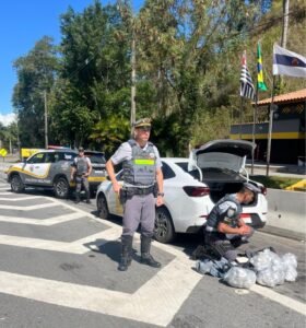Passageiro de carro de aplicativo é flagrado com 3.202 porções de drogas na Tamoios em Caraguatatuba