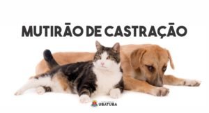 CRA realiza mais de 250 castrações em ação no Puruba e Perequê Mirim