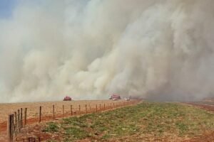 Bombeiros e Defesa Civil controlam incêndios em canaviais em SP