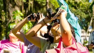 Festival das Aves inicia atividades em Bertioga