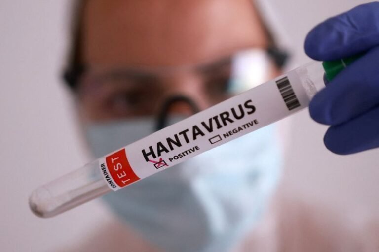 SP registra quatro casos de hantavirose em 2026; letalidade é de 51%