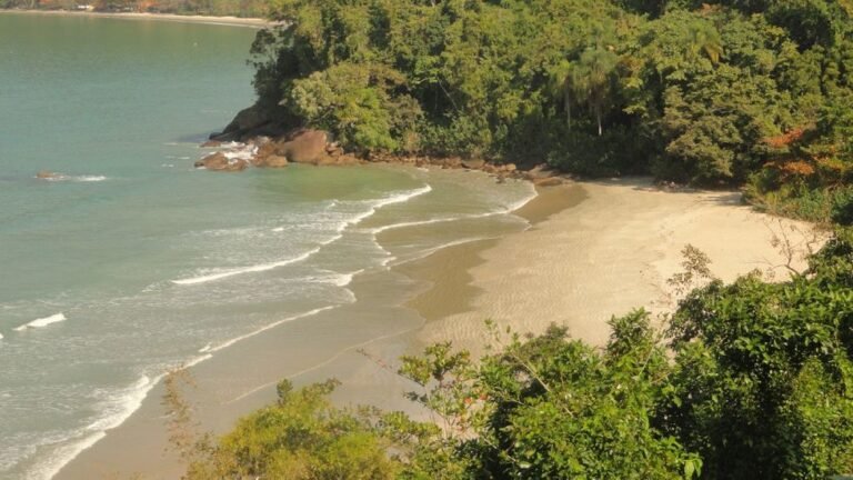 Ubatuba tem quatro pontos impróprios para banho; veja quais praias estão liberadas