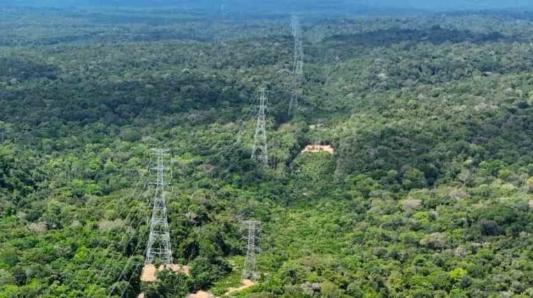 Leilão: Celeo Redes vence o lote 8 em Rondônia com deságio de 48,02%